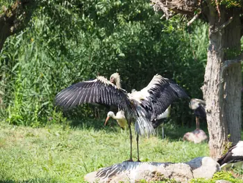 NaturOparC Hunawihr, Alsace (France)